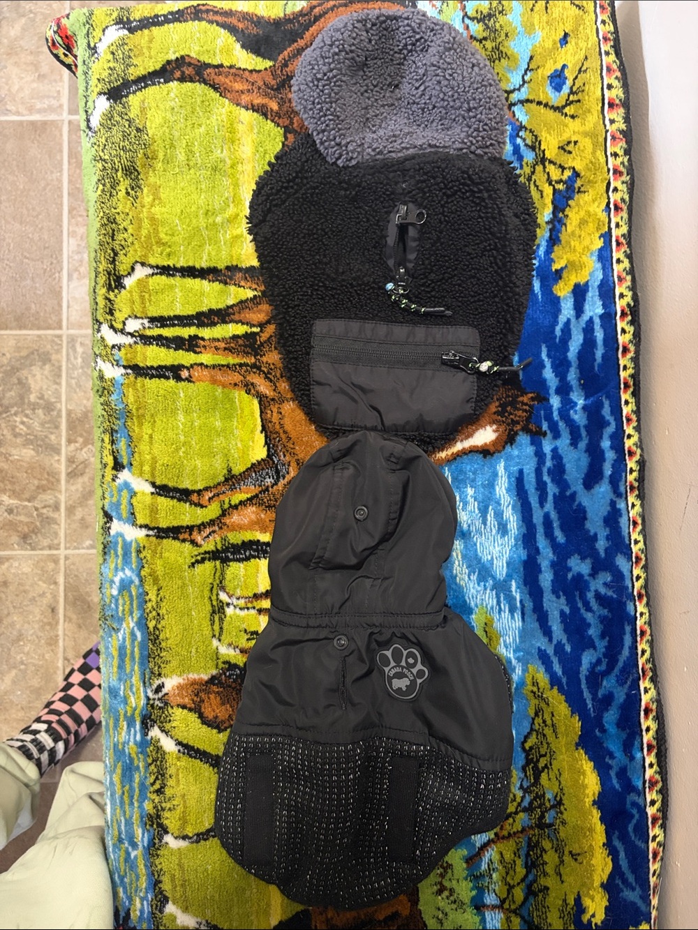 Canada Pooch size 10 winter jackets for a tiny dog